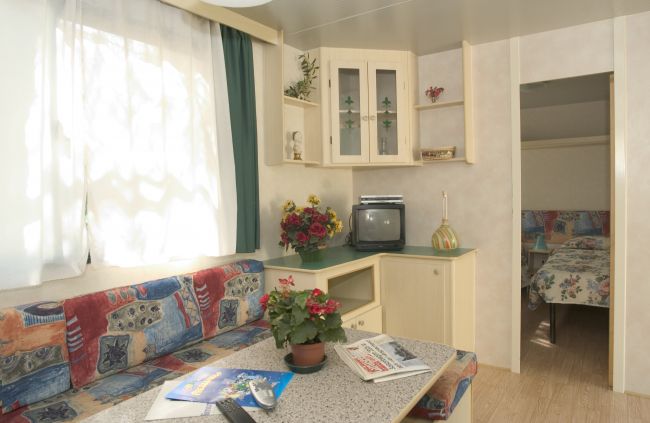 Interno di una casa mobile con divano colorato, tv, fiori e accessori decorativi.