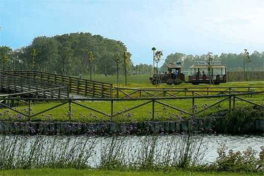 Paesaggio con un laghetto, prato verde e una giostra su rotaia in legno sullo sfondo.