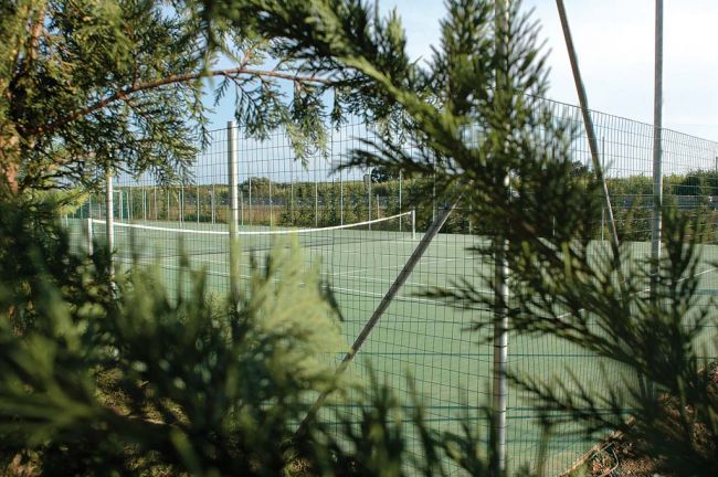 Campo da tennis visto attraverso rami di alberi sempreverdi.