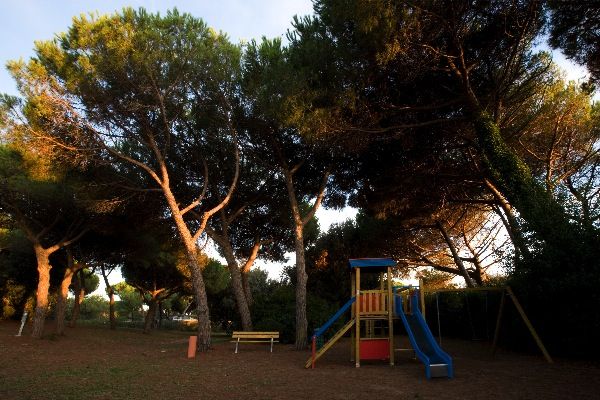 Parco giochi con scivolo blu sotto grandi pini.