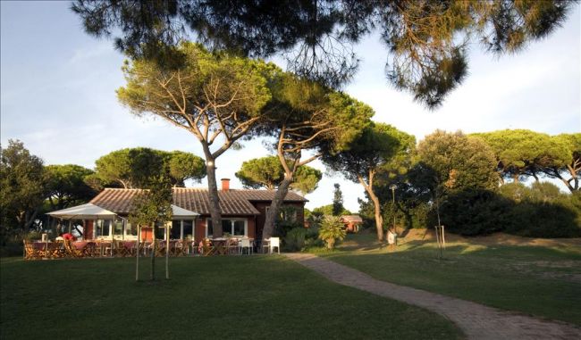 Casa circondata da alberi alti e giardino verde.
