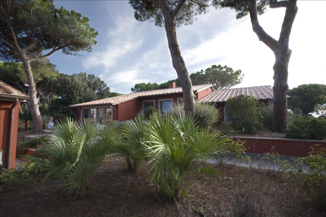 Edificio con tetto a tegole tra alberi e piante verdi.