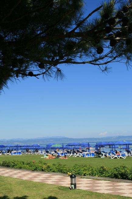 Una spiaggia con lettini e ombrelloni blu, un cielo sereno e alberi in primo piano.