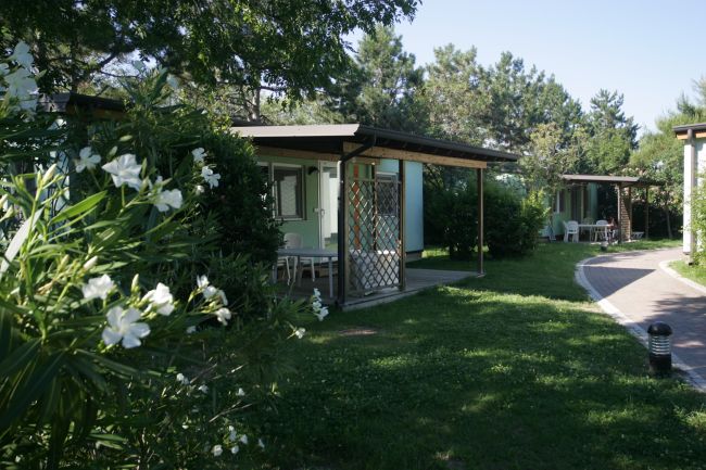 Bungalow immersi nel verde, con verande e sentiero tra aiuole fiorite.