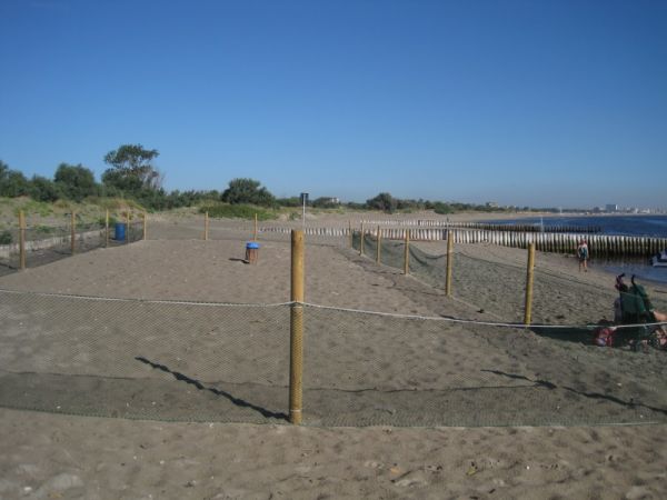 Spiaggia con recinzione di pali e rete.