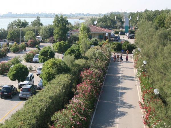 Viale alberato con auto parcheggiate e persone che camminano.