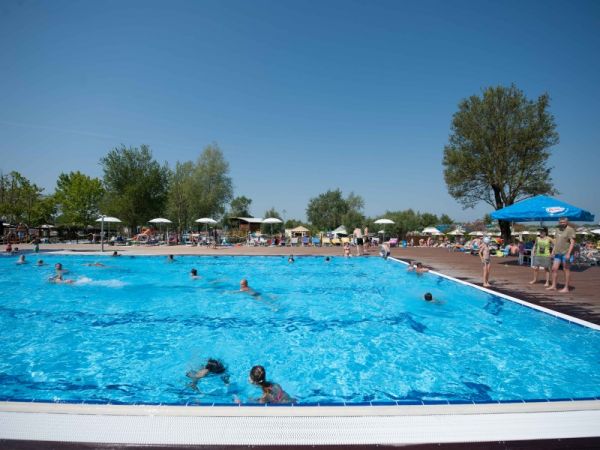 Piscina affollata con ombrelloni e alberi.
