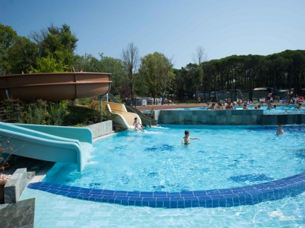 Piscina con scivoli, circondata da alberi.