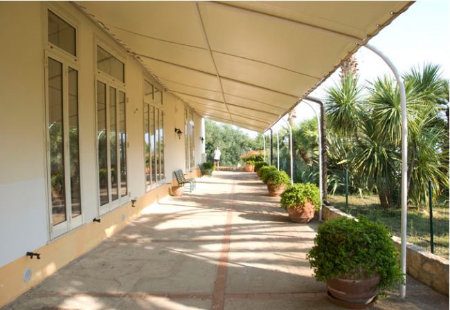 Portico con tende e piante in vaso.