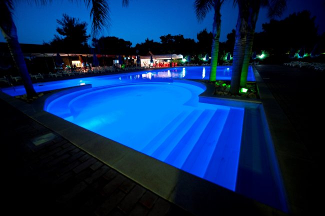 Piscina illuminata di notte, contornata da palme.