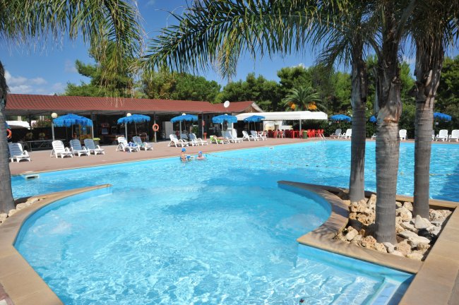 Piscina con palme e sedie a sdraio bianche.