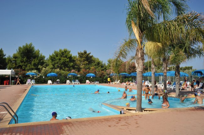Una piscina con persone che nuotano, circondata da palme.